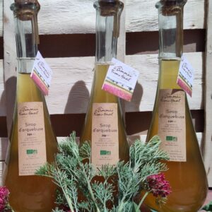 Sirop d'Arquebuse Cola