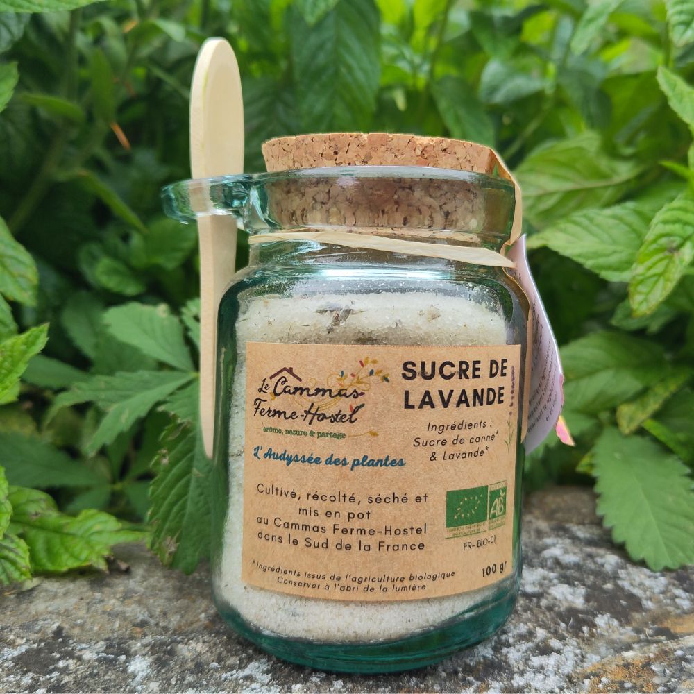 Sucre de Lavande